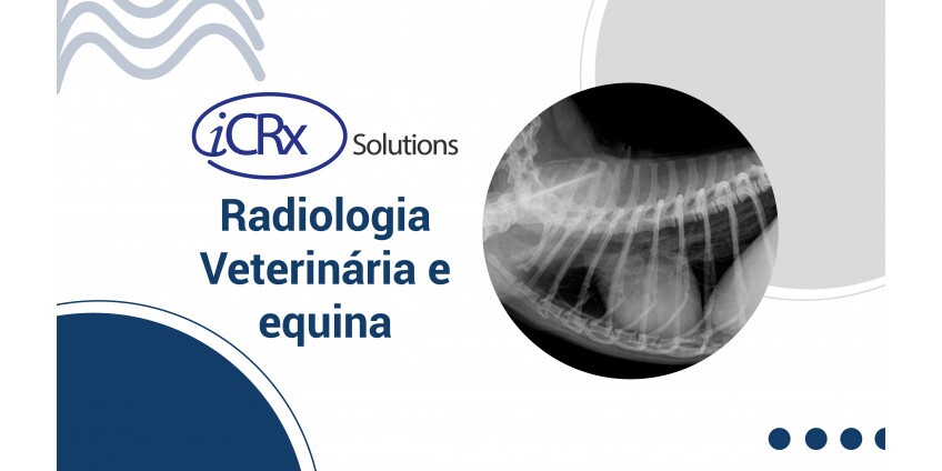 Radiologia Veterinária e Equina Radiologia Veterinária e Equina