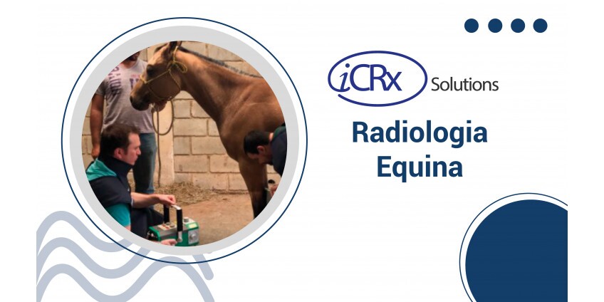 Radiologia Equina Radiologia Equina