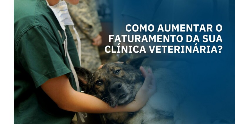 Como aumentar o faturamento da sua clínica veterinária? Veja estratégias comprovadas! Como aumentar o faturamento da sua clínica veterinária? Veja estratégias comprovadas!