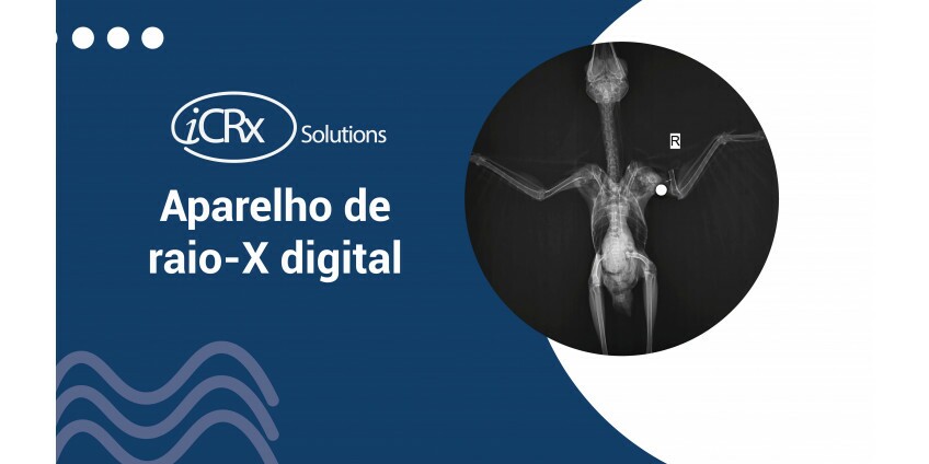 Aparelho de Raio X digital veterinário