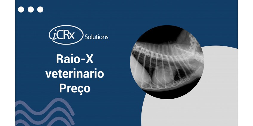 Aparelho de Raio X portátil veterinário preço