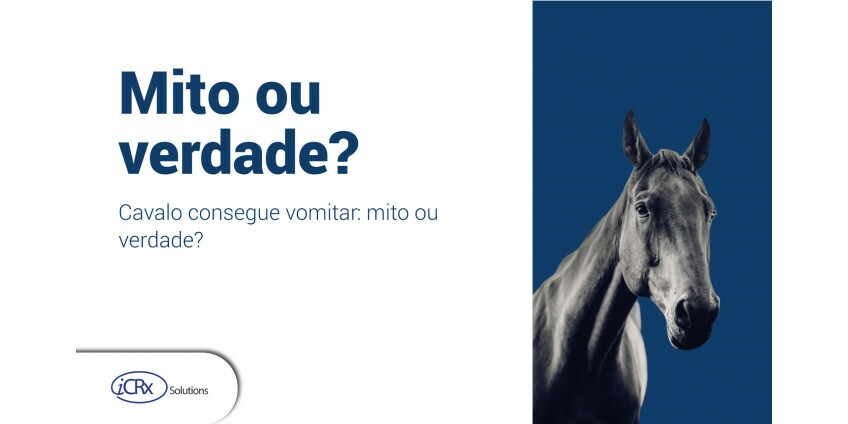 Cavalo consegue vomitar: mito ou verdade?