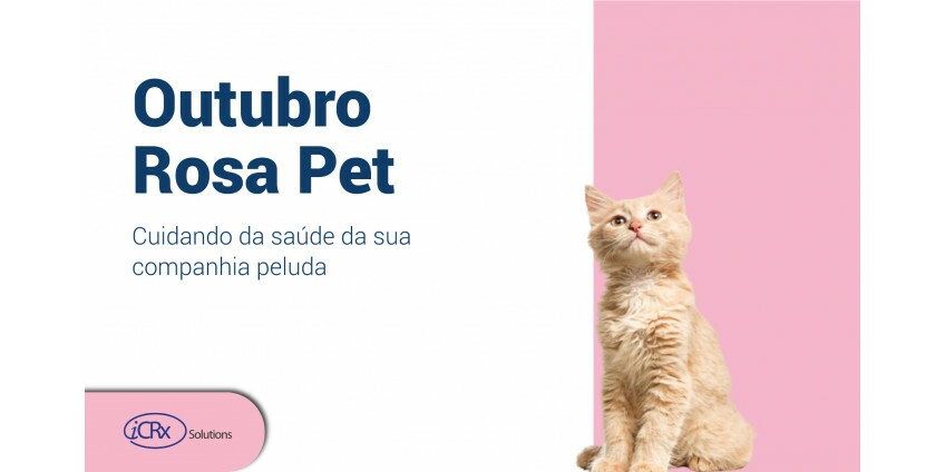 Outubro Rosa Pet